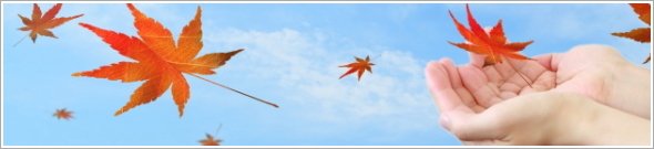 団体旅行イメージ